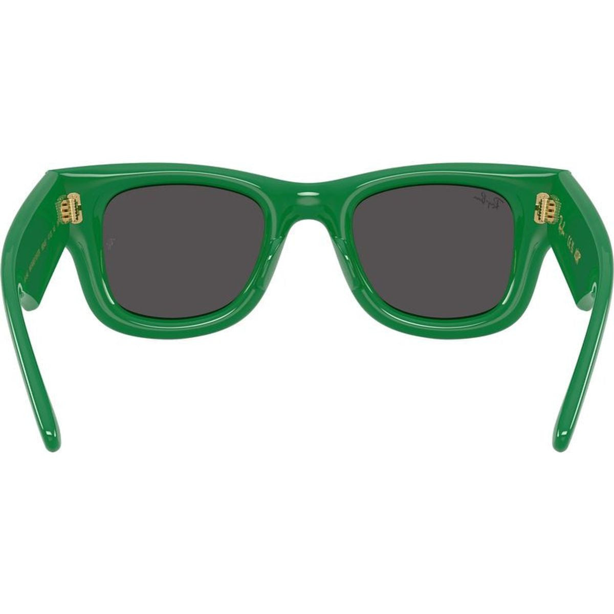Wayfarer Puffer RB4940, Green/Ultra Black Lenses