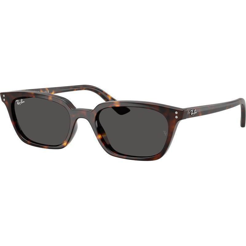 Zaya RB4456F, Havana/Dark Grey Lenses