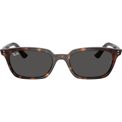Zaya RB4456F, Havana/Dark Grey Lenses