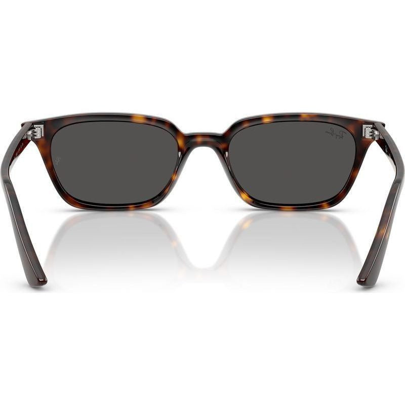 Zaya RB4456F, Havana/Dark Grey Lenses