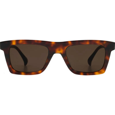 Steeb Large, Cigar Tort/Smoke Lenses