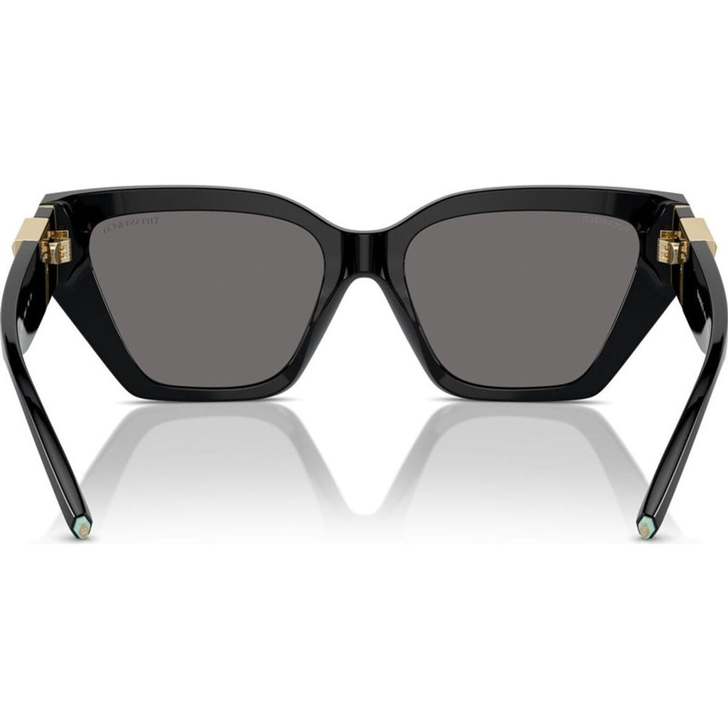 TF4218, Black/Dark Grey Polarised Lenses