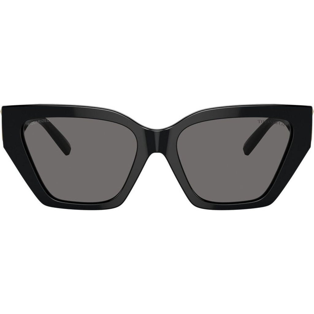 TF4218, Black/Dark Grey Polarised Lenses