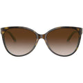TF4089B, Havana and Blue/Brown Gradient Lenses