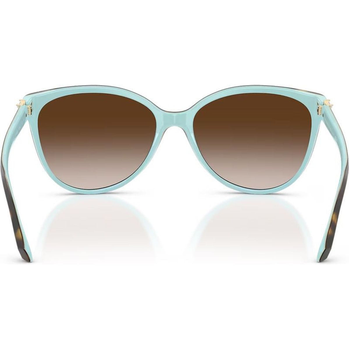 TF4089B, Havana and Blue/Brown Gradient Lenses