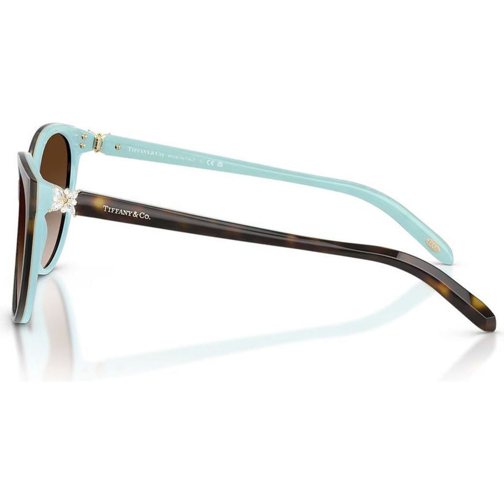 TF4089B, Havana and Blue/Brown Gradient Lenses