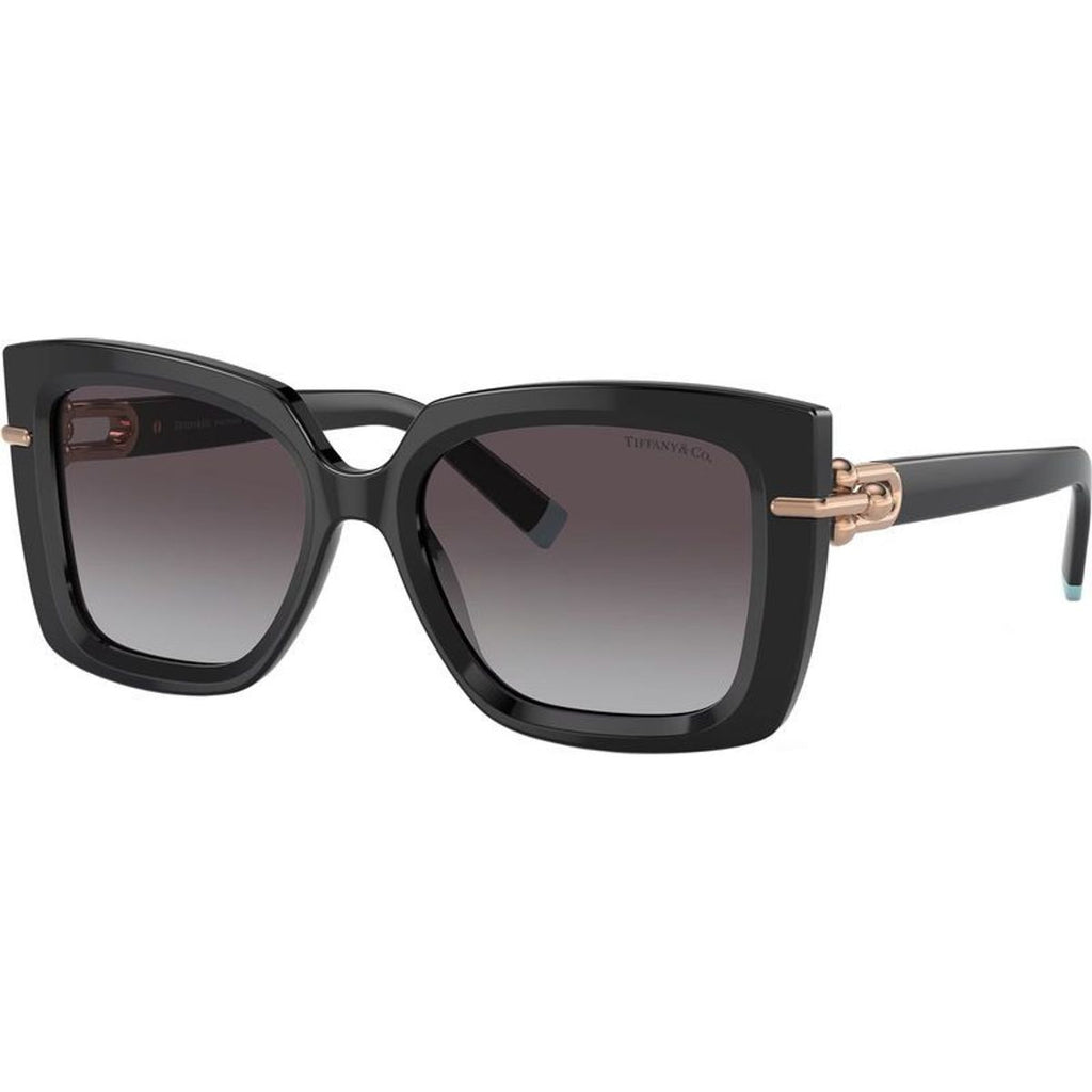 TF4199, Black/Grey Gradient Lenses