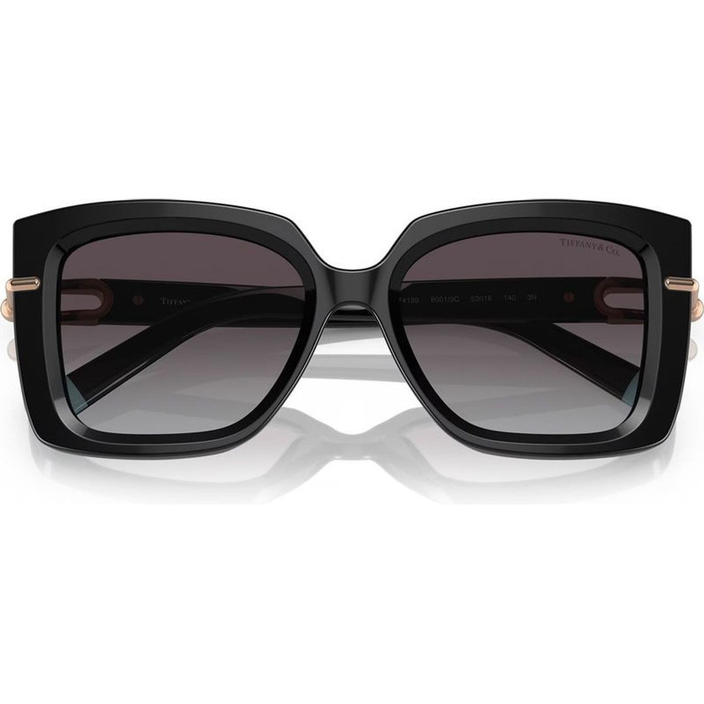 TF4199, Black/Grey Gradient Lenses