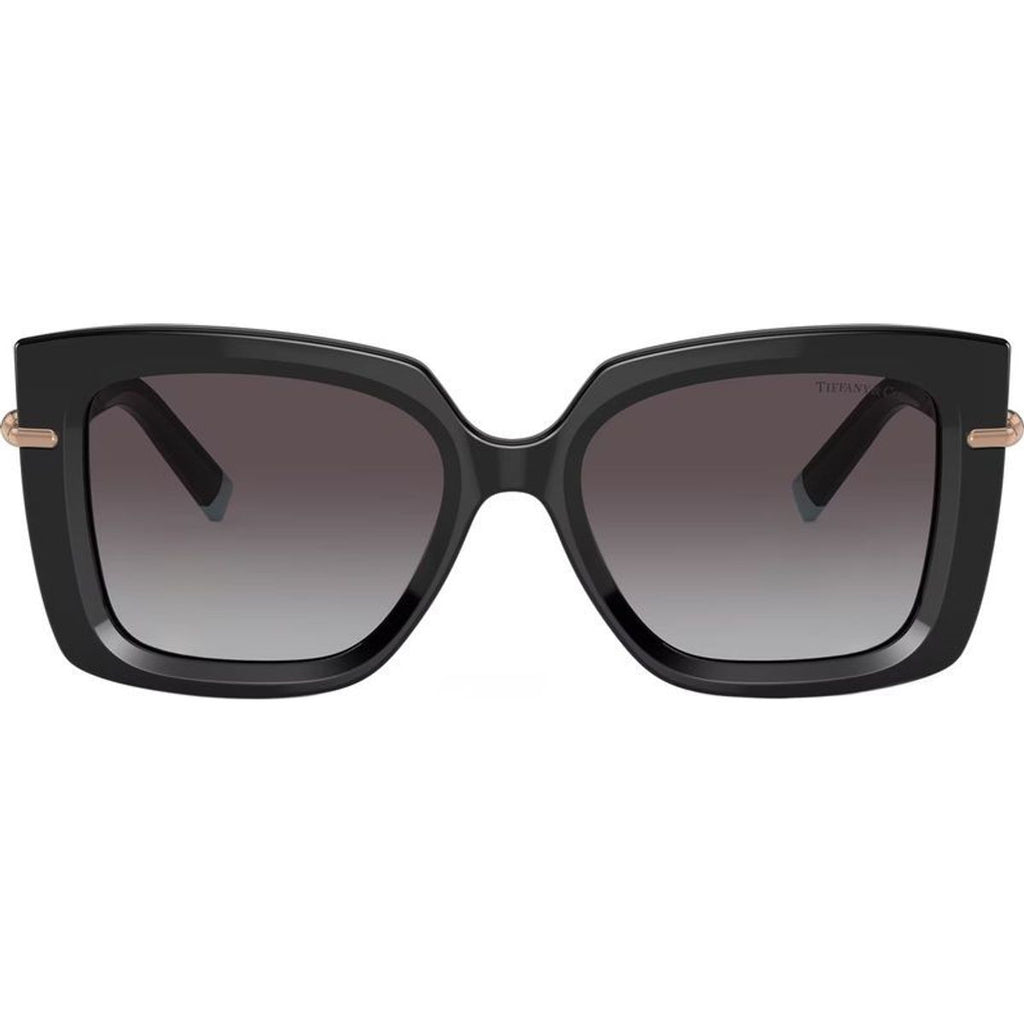 TF4199, Black/Grey Gradient Lenses