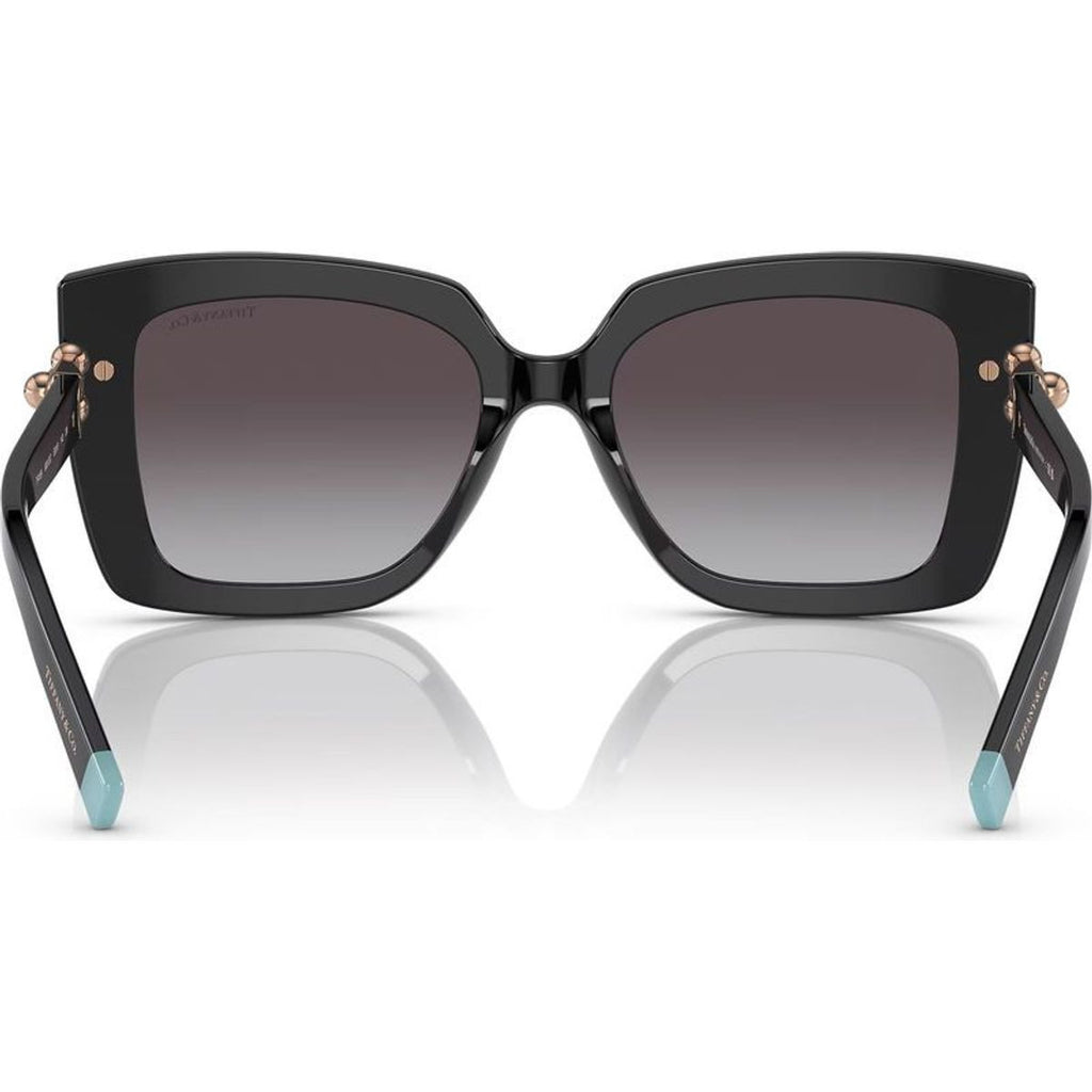 TF4199, Black/Grey Gradient Lenses