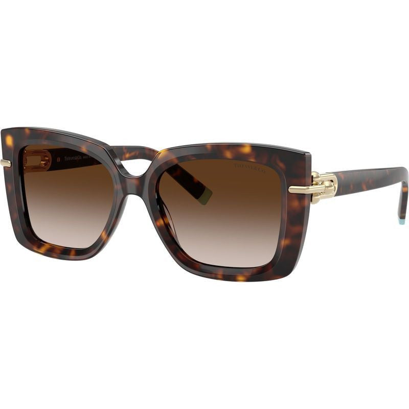 TF4199, Havana/Brown Gradient Lenses