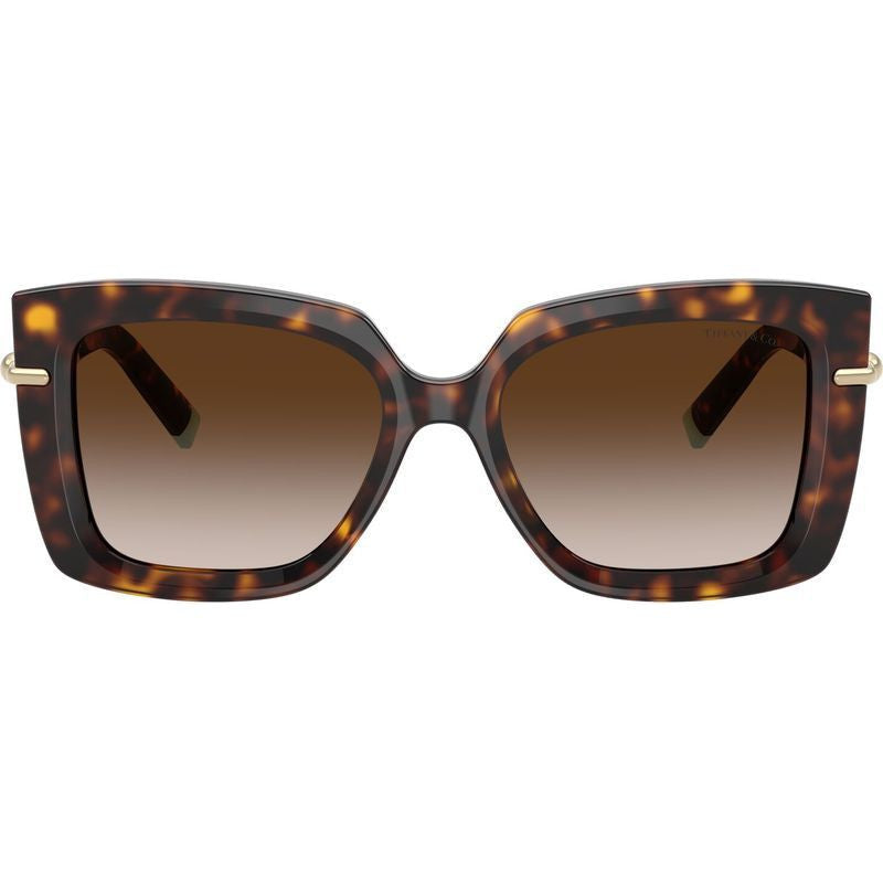 TF4199, Havana/Brown Gradient Lenses