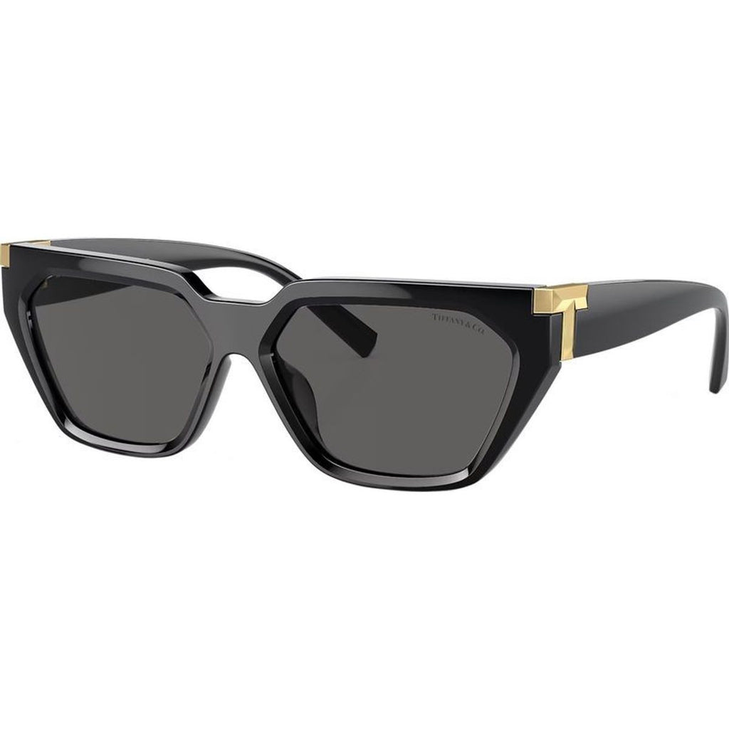 TF4205U, Black/Dark Grey Lenses