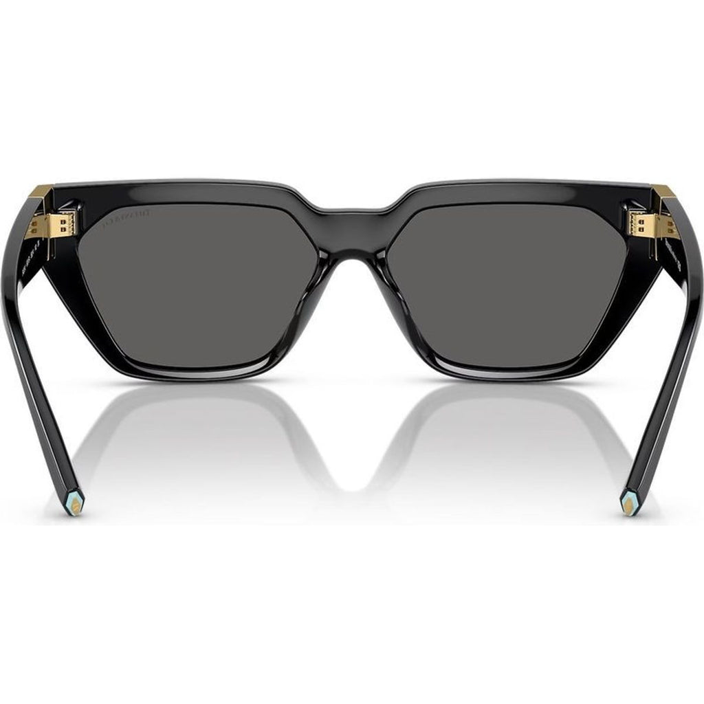 TF4205U, Black/Dark Grey Lenses