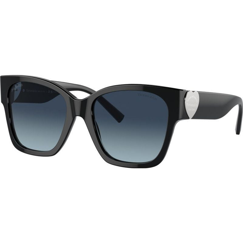 TF4216, Black/Azure Dark Blue Gradient Polarised Lenses