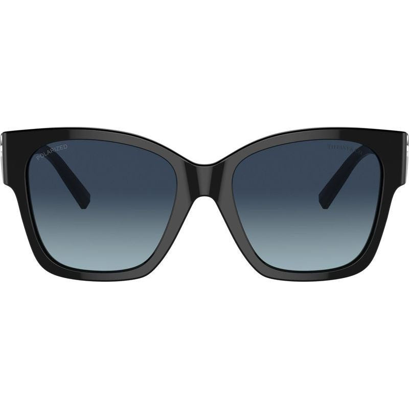 TF4216, Black/Azure Dark Blue Gradient Polarised Lenses