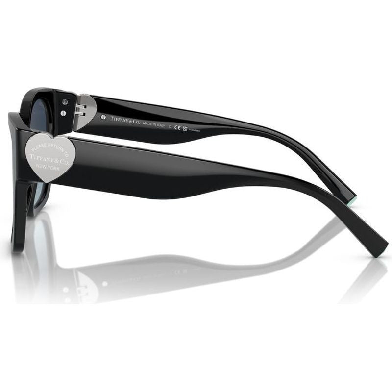 TF4216, Black/Azure Dark Blue Gradient Polarised Lenses