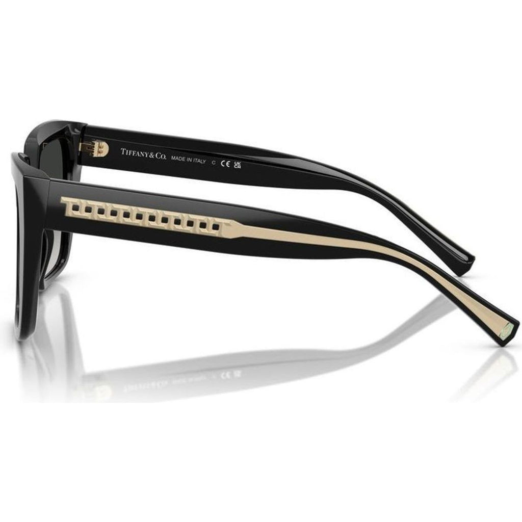 TF4235, Black/Grey Gradient Lenses