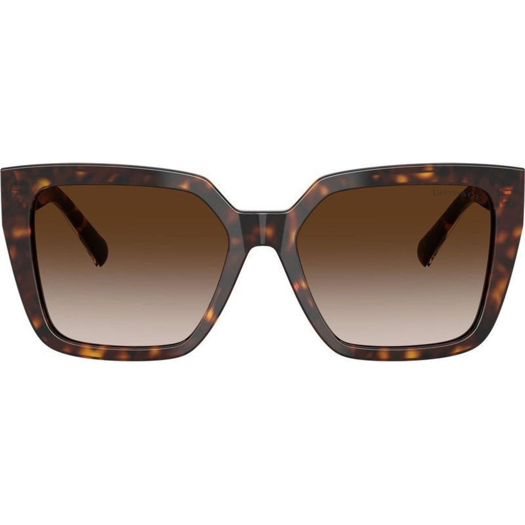 TF4235, Havana/Brown Gradient Lenses
