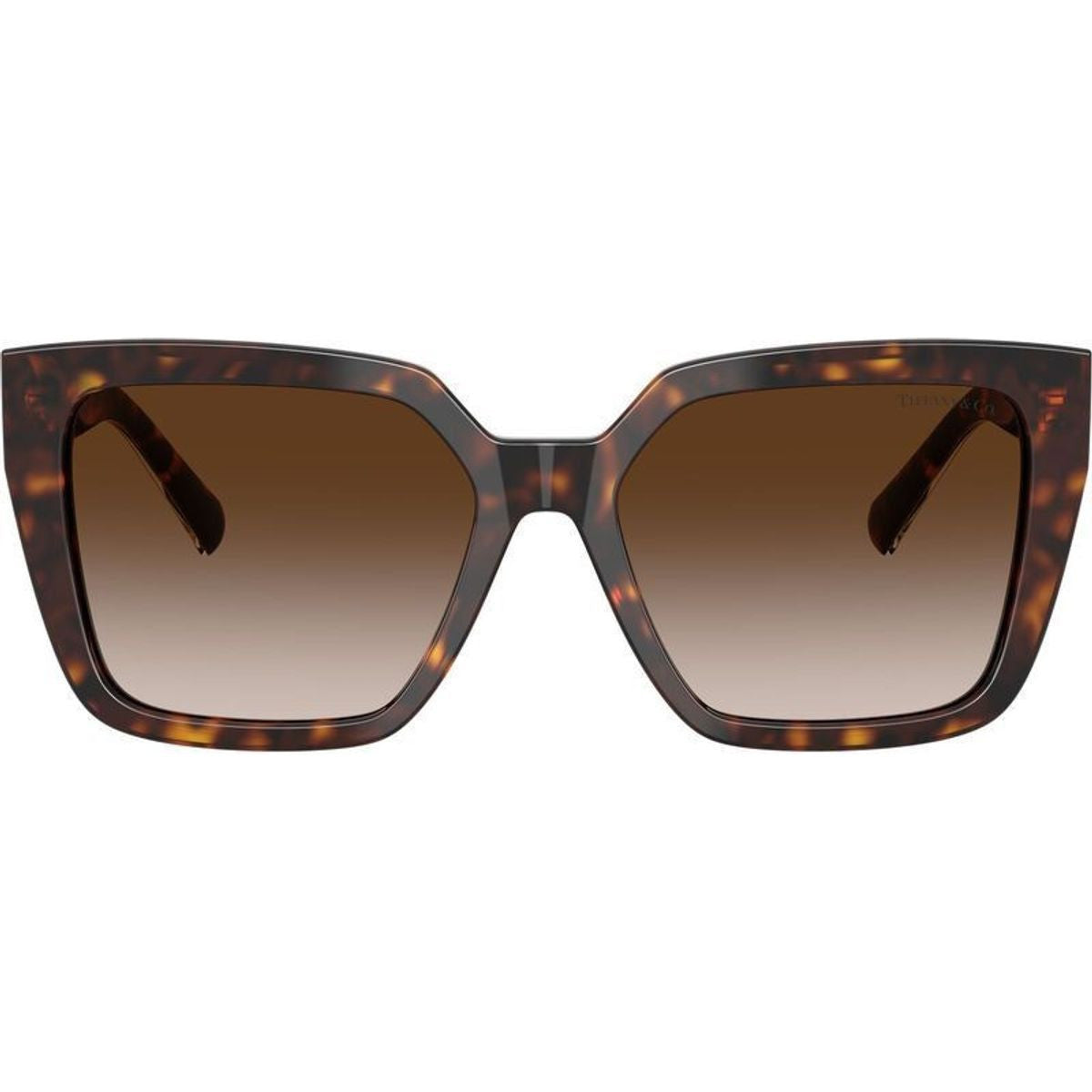 TF4235, Havana/Brown Gradient Lenses