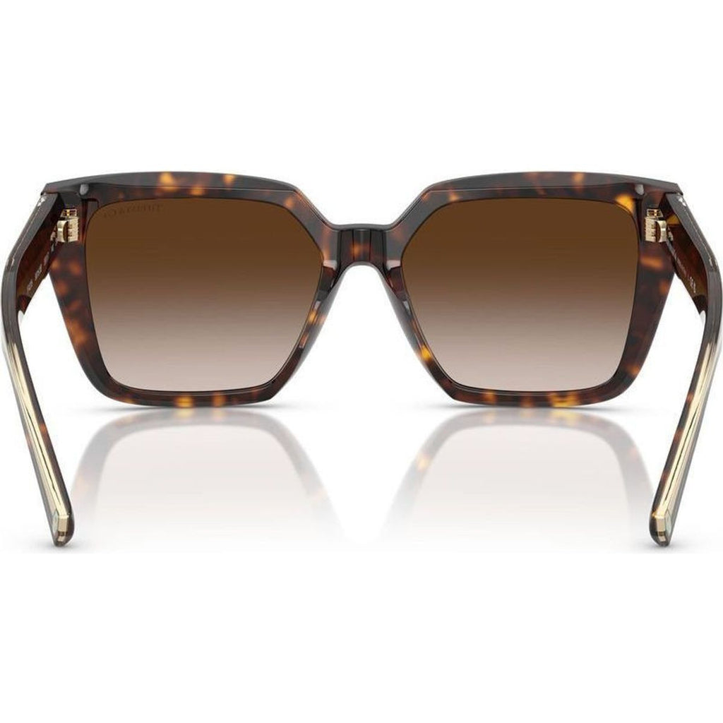 TF4235, Havana/Brown Gradient Lenses