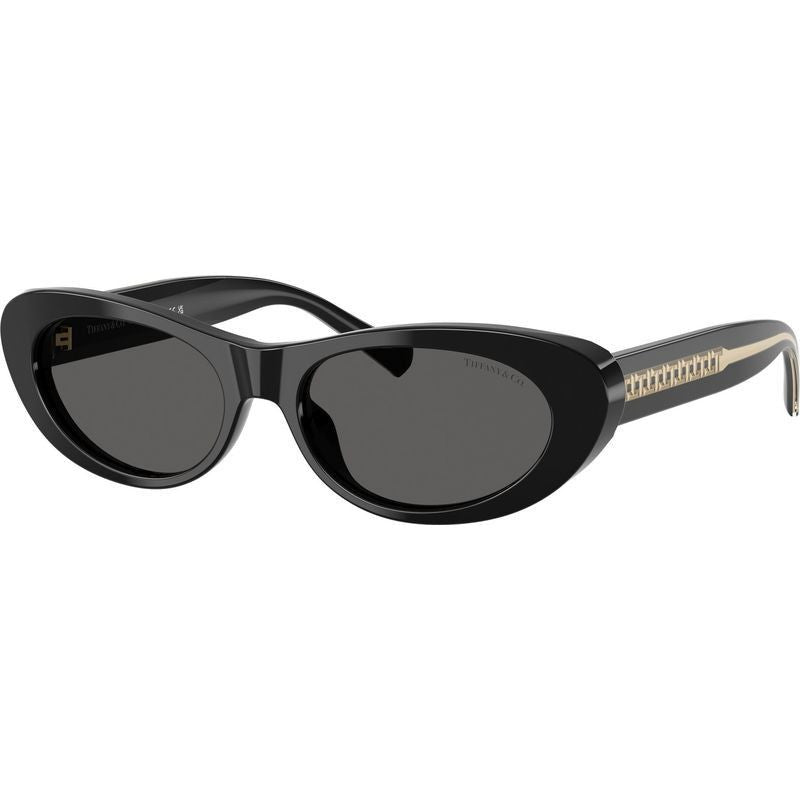 TF4236U, Black/Dark Grey Lenses