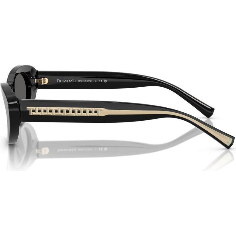 TF4236U, Black/Dark Grey Lenses