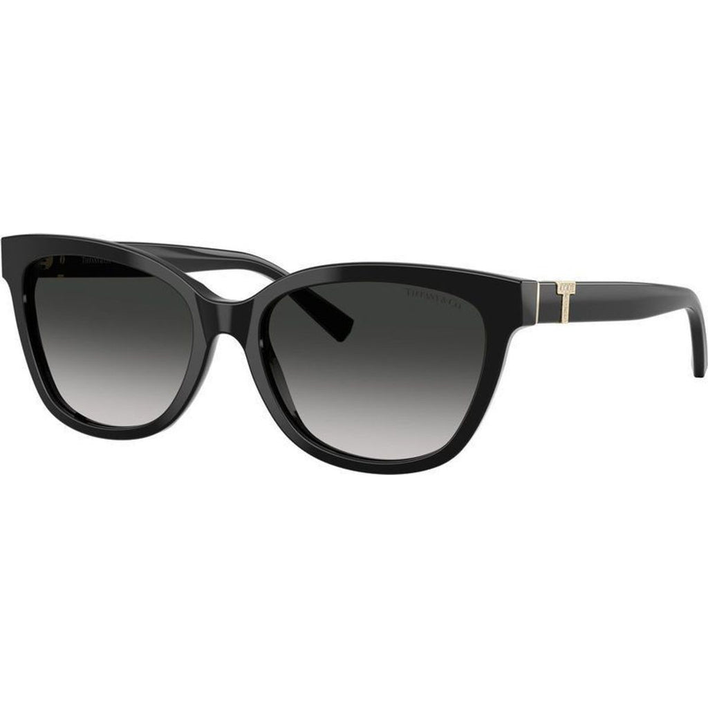 TF4237B, Black/Grey Gradient Lenses