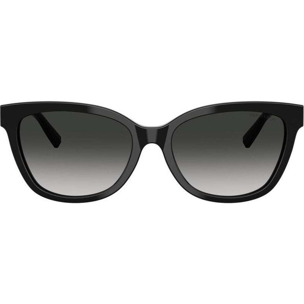 TF4237B, Black/Grey Gradient Lenses