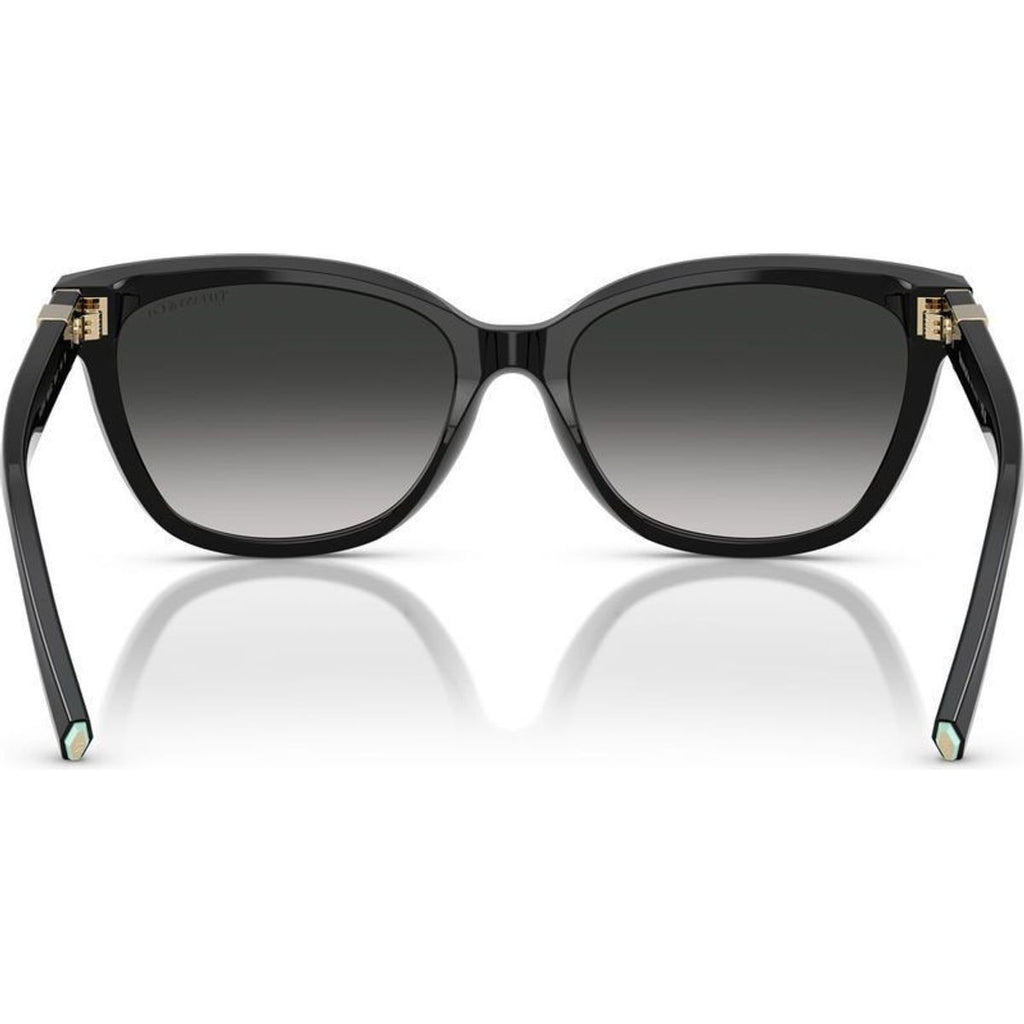 TF4237B, Black/Grey Gradient Lenses