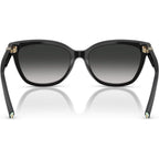 TF4237B, Black/Grey Gradient Lenses