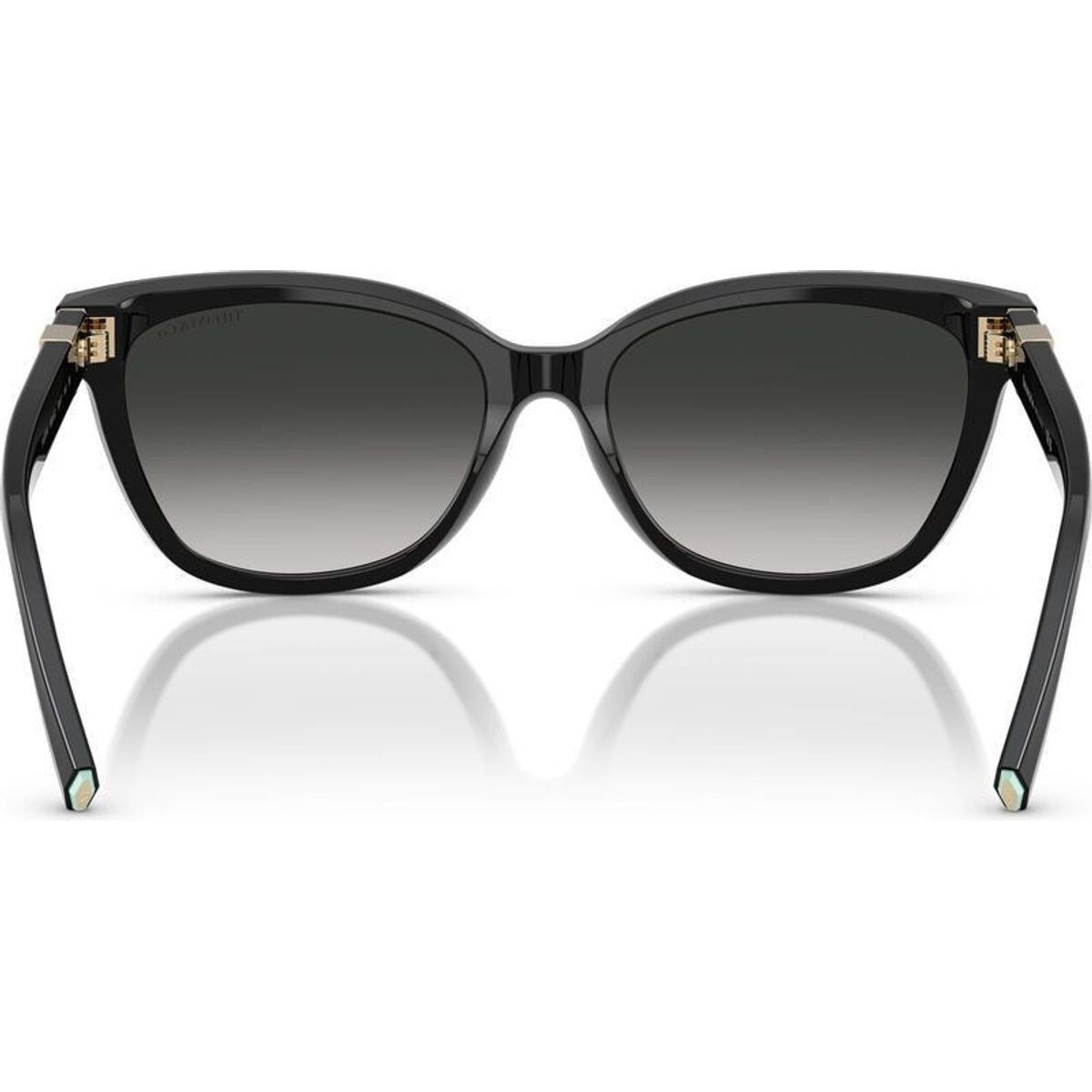 TF4237B, Black/Grey Gradient Lenses
