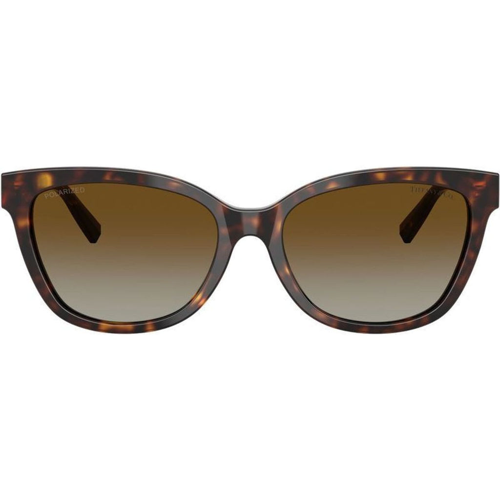 TF4237B, Havana/Brown Gradient Polarised Lenses