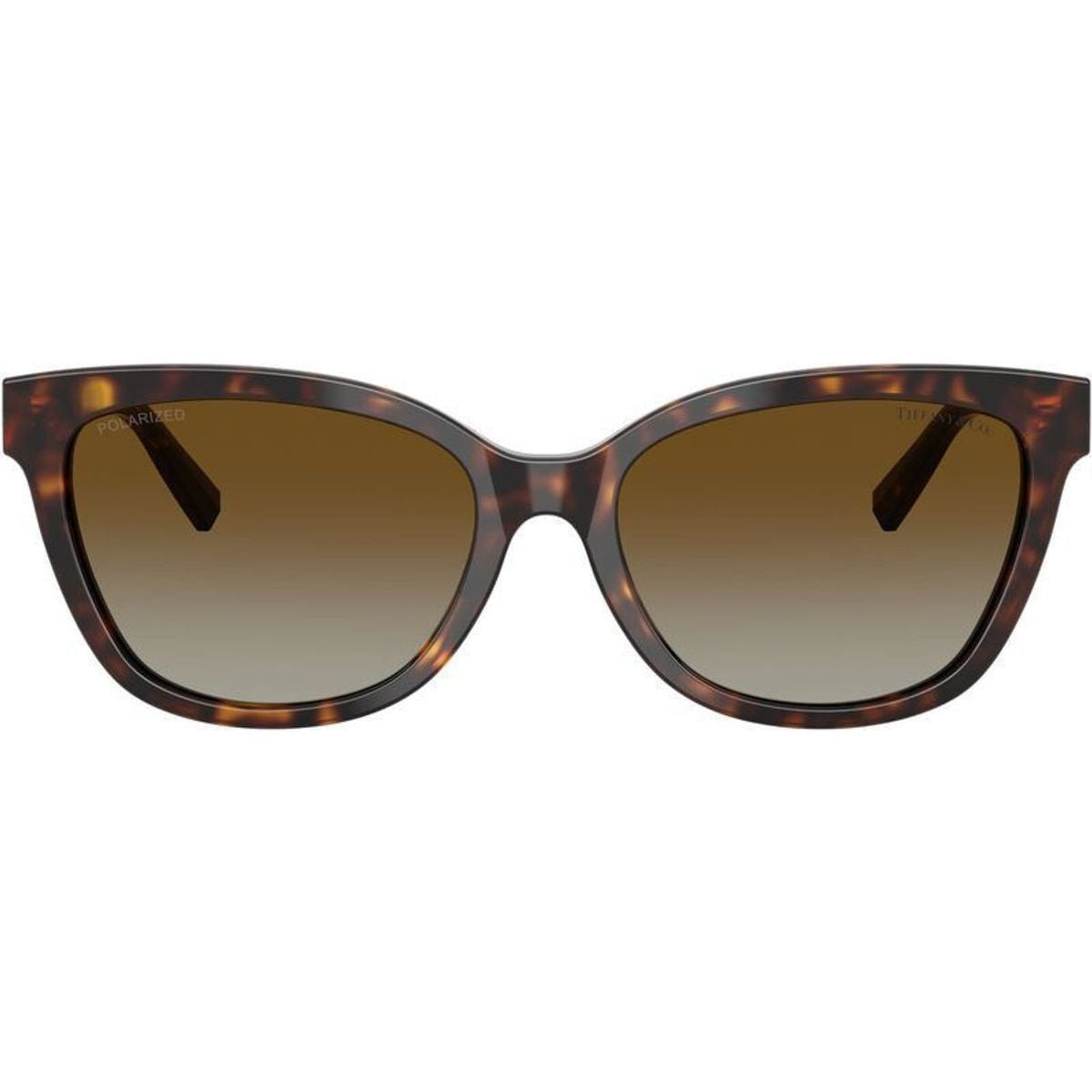 TF4237B, Havana/Brown Gradient Polarised Lenses