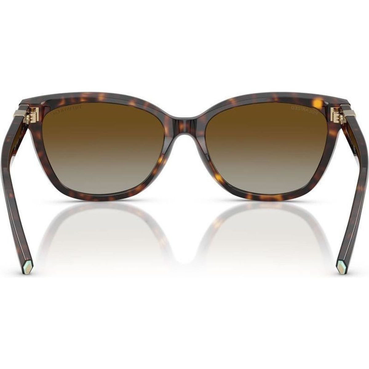 TF4237B, Havana/Brown Gradient Polarised Lenses
