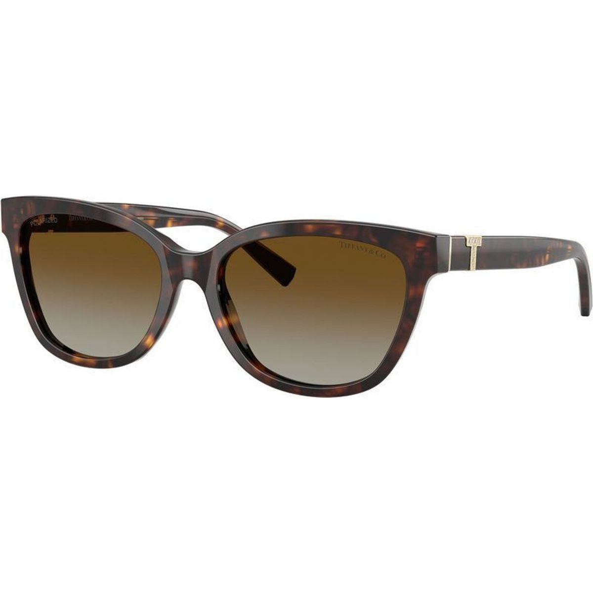 TF4237BF, Havana/Brown Gradient Polarised Lenses