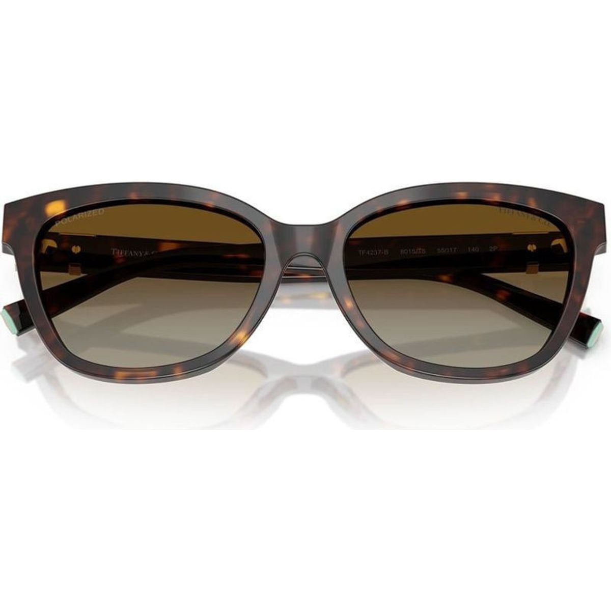TF4237BF, Havana/Brown Gradient Polarised Lenses