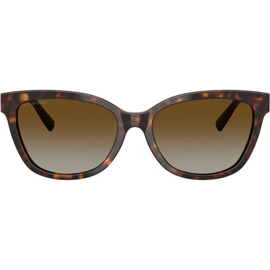 TF4237BF, Havana/Brown Gradient Polarised Lenses