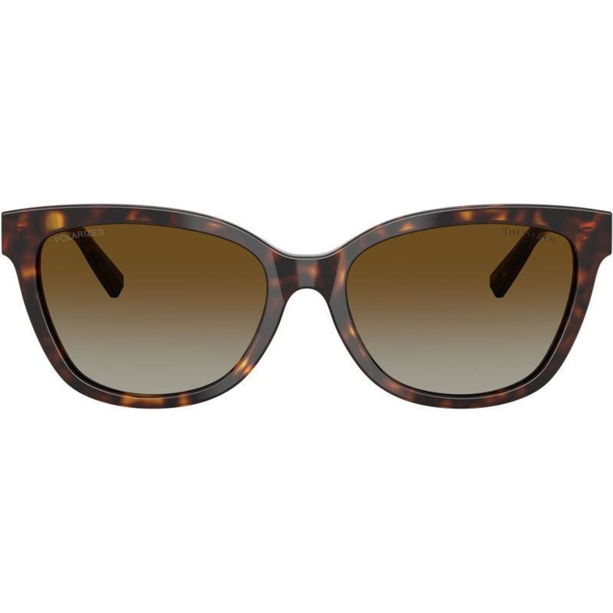 TF4237BF, Havana/Brown Gradient Polarised Lenses