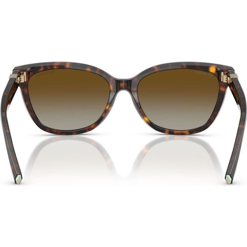 TF4237BF, Havana/Brown Gradient Polarised Lenses