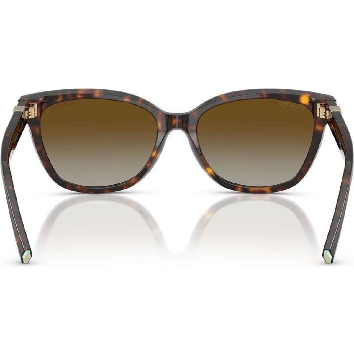 TF4237BF, Havana/Brown Gradient Polarised Lenses