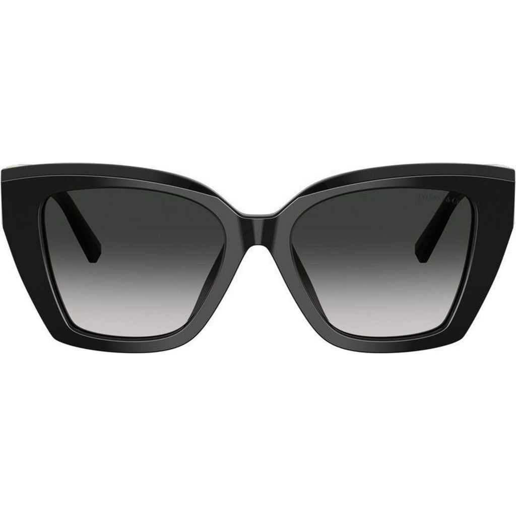 TF4239U, Black/Grey Gradient Lenses