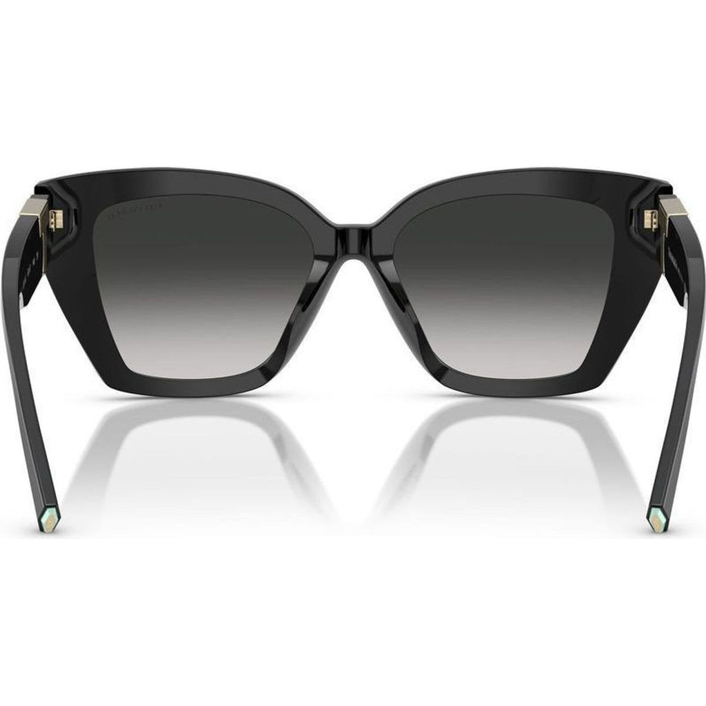 TF4239U, Black/Grey Gradient Lenses