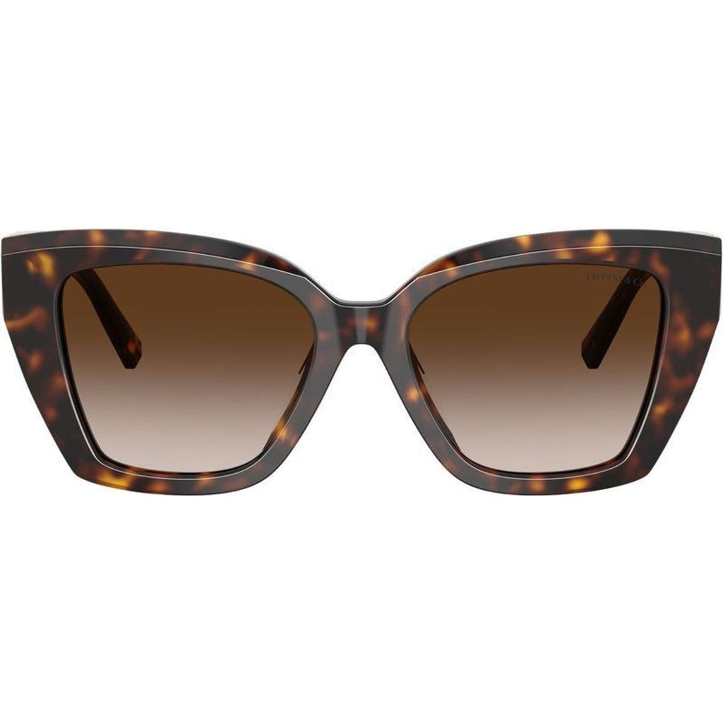 TF4239U, Havana/Brown Gradient Lenses