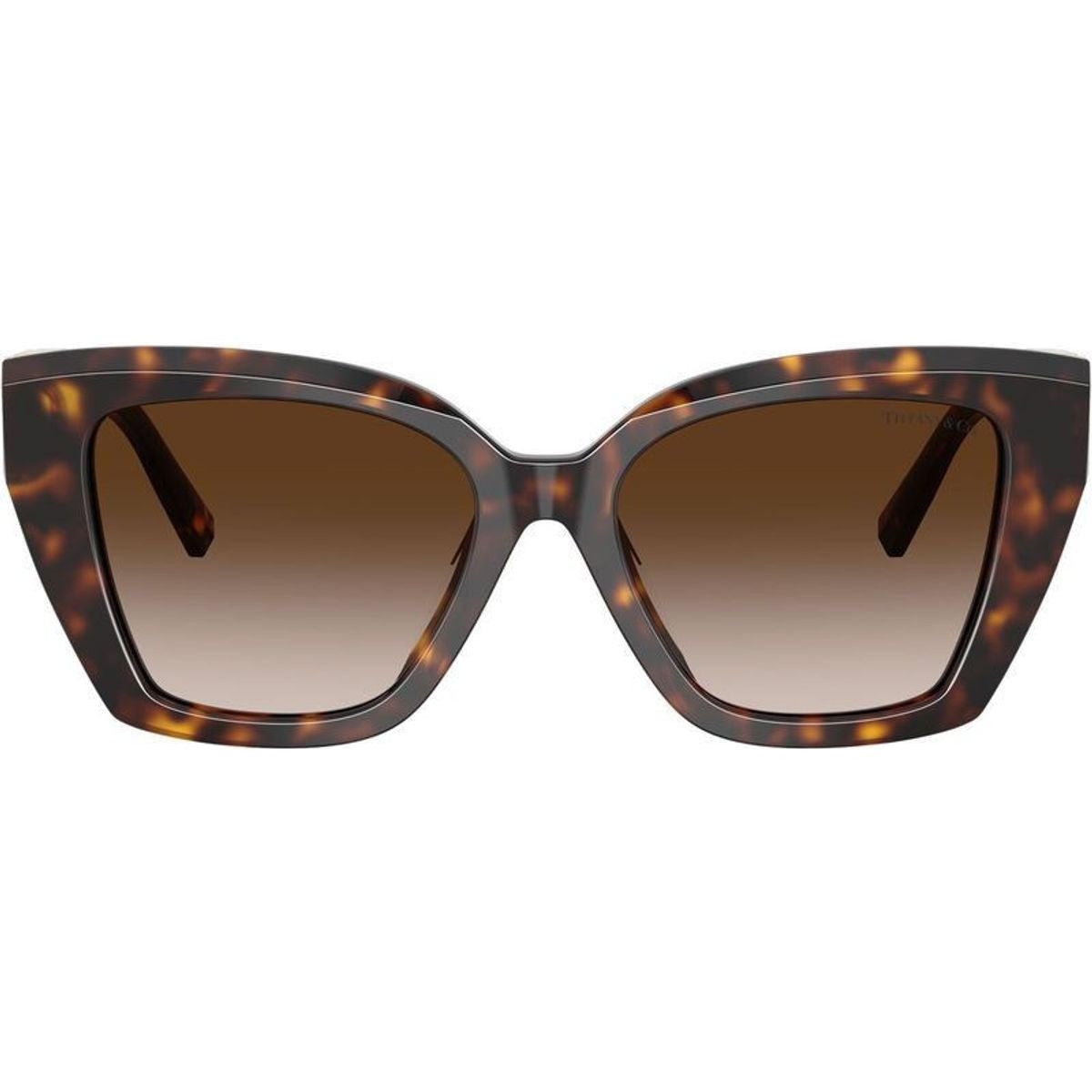 TF4239U, Havana/Brown Gradient Lenses