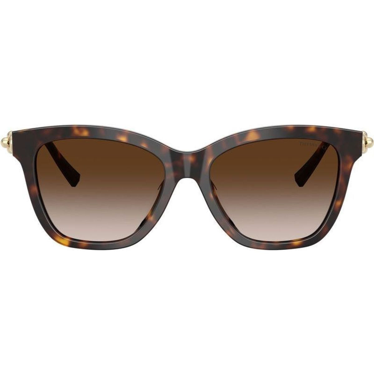 TF4241D, Havana/Brown Gradient Lenses