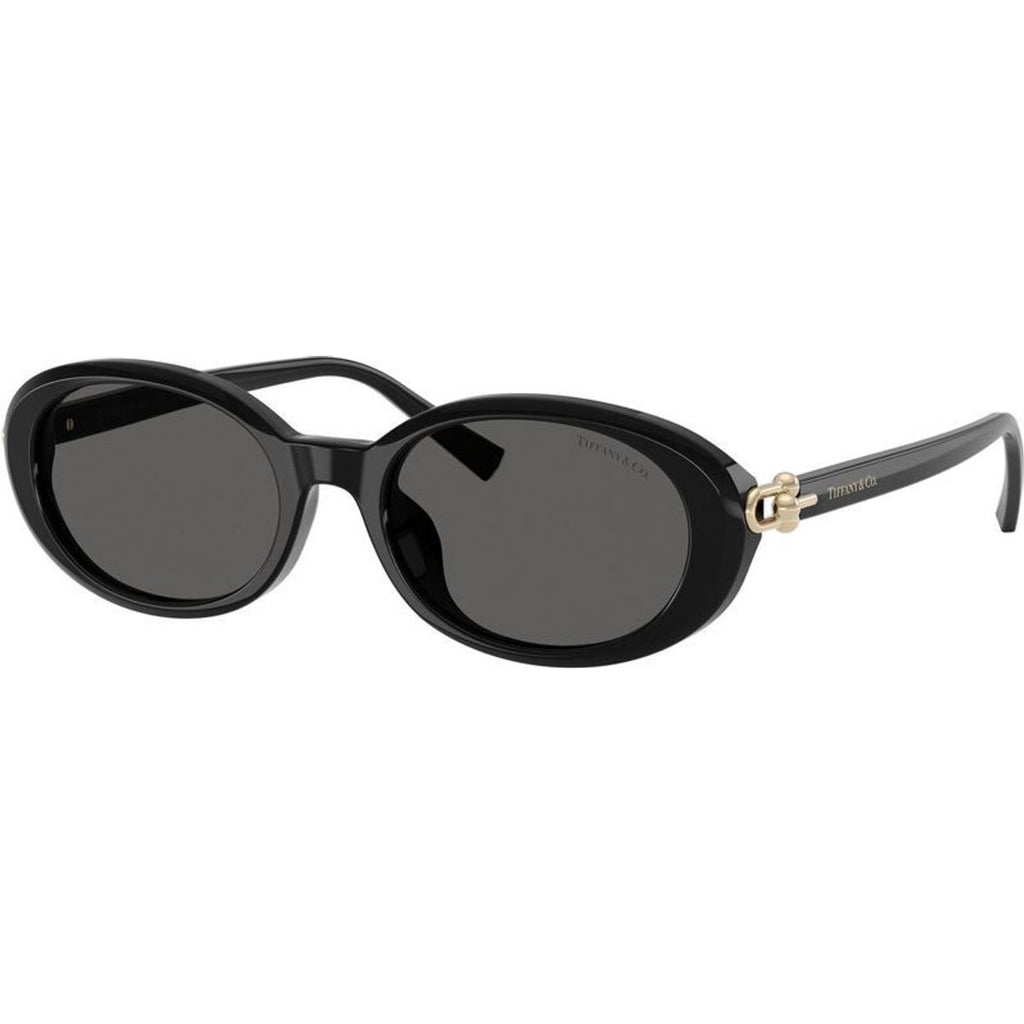TF4242D, Black/Dark Grey Lenses