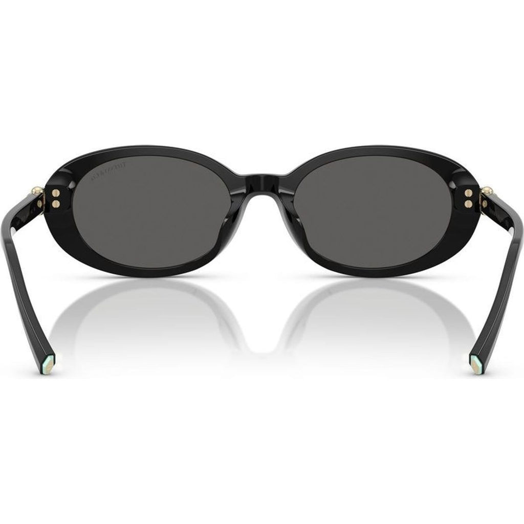 TF4242D, Black/Dark Grey Lenses
