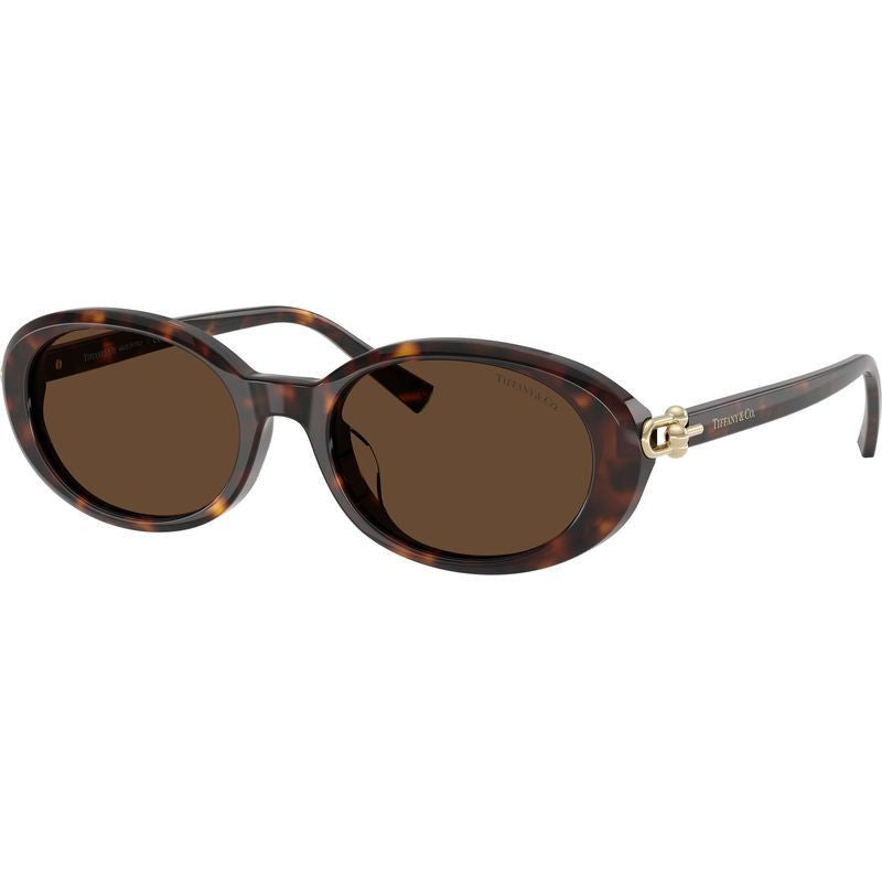 TF4242D, Havana/Brown Lenses