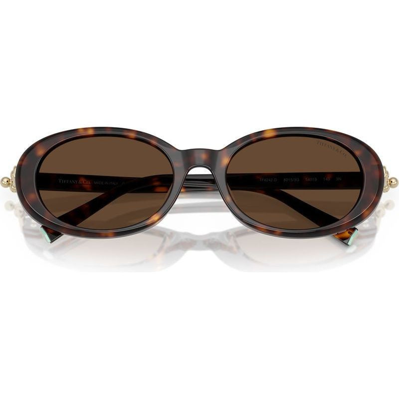 TF4242D, Havana/Brown Lenses
